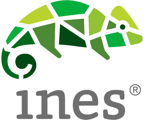 Signet Ines Informatik & Consulting